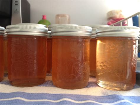 Homemade Crab Apple Jelly Recipe