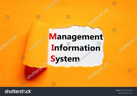Management Information Example 的图像结果