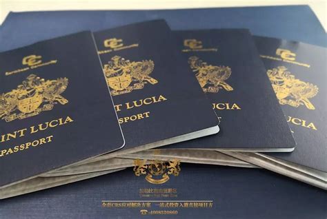圣卢西亚护照开展全球资产配置竟能免去这么多税！