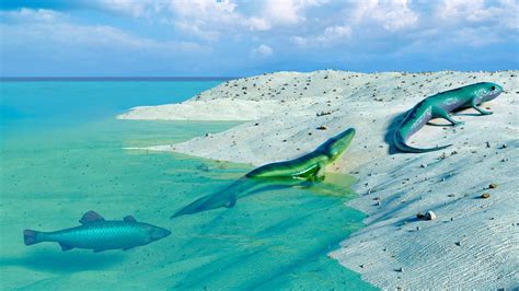 Evolution of Animals 的图像结果