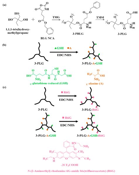 Targeting Human Endothelial Cells with Glutathione and Alanine ...