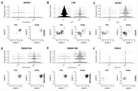 Single-Cell RNA Sequencing of PBMCs Identified Junction Plakoglobin ...
