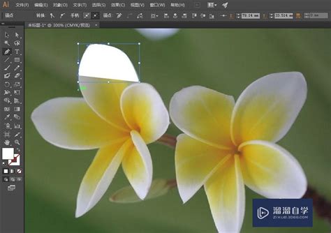 Ai 如何抠图 的图像结果