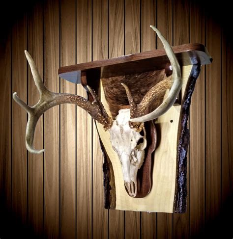 Deer Skull Wall Mount