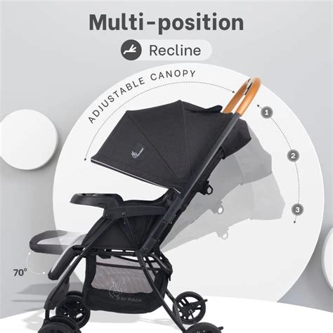R for Rabbit Poppins Joy Cute Stroller For Kids – Smart Baby