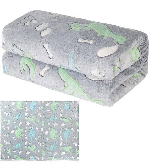 Buy Dinosaurs Blankets for Kids, Soft Fleece Quilt Blanket, Comfy Warm ...