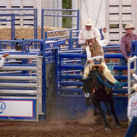 FOLSOM PRO RODEO (2025) All You Need to Know BEFORE You Go (with Photos ...