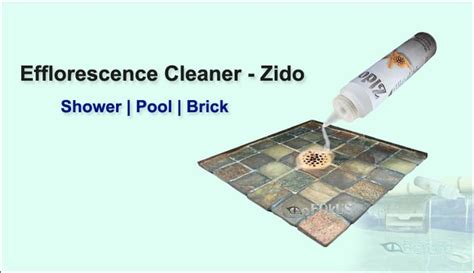 Image result for Efflorescence Repair