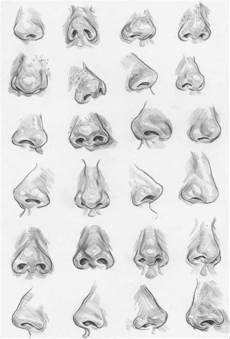Image result for Nose Drawing Tutorial