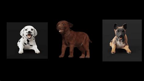 3D Dog Puppies - a premium asset pack to build games with GDevelop. | GDevelop
