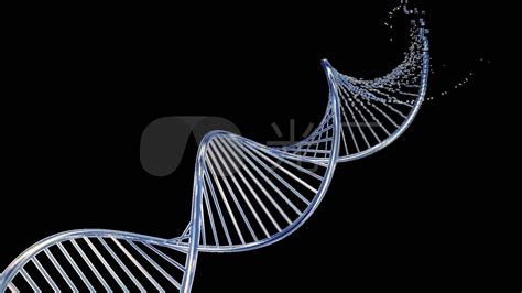 Dna双螺旋 的图像结果