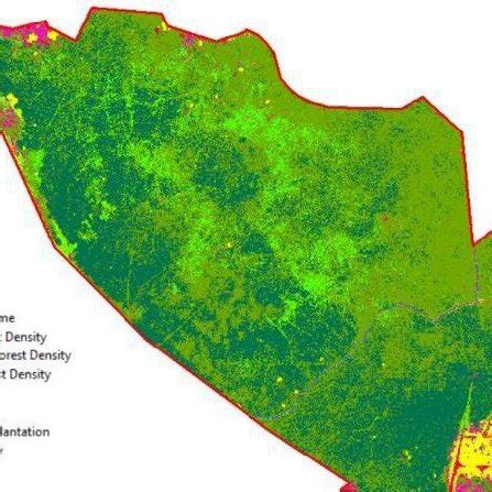 Types of Fuel 的图像结果