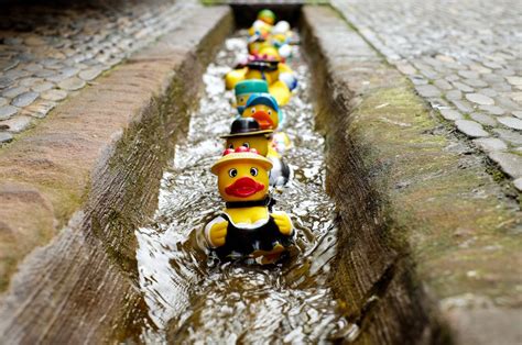 Rubber Duckie Day - NerdSpot