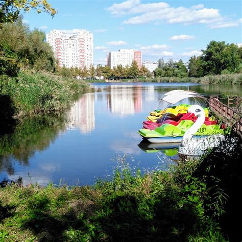 VALEA TRANDAFIRILOR PARK (2026) All You Need to Know BEFORE You Go ...