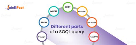 Image result for SOQL Query Using Workbench