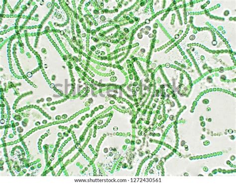 Image result for Computer Notes for Beginners PDF