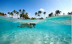 bid on travel this is the no 1 destination want to visit before bid on travel this is the no 1 destination want to visit before