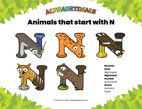 Animals that start with N - Lists & Examples | Animal Dictionary