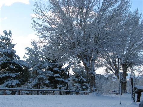 Frandy Campground Gallery | Kern River Camping 93238