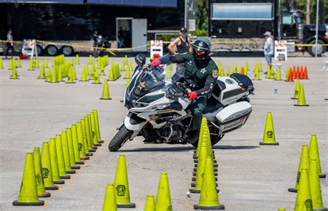 Golf Range Netting 的图像结果