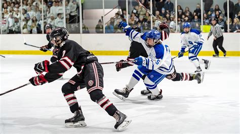 Hockey 的图像结果