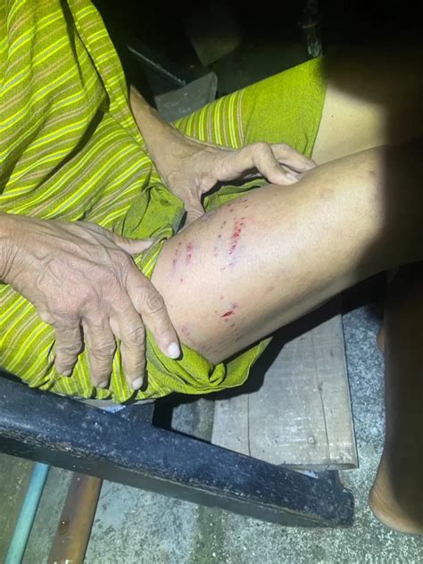 Python Attack 的图像结果