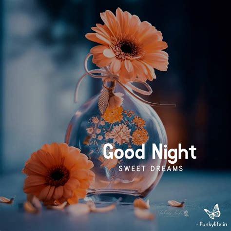 520+ Beautiful Good Night Images, Photos & Wallpapers | Sweet good ...