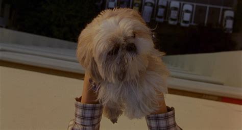 Barking Dogs Never Bite (2000)