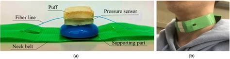 A Fiber-Optic Non-Invasive Swallowing Assessment Device Based on a ...