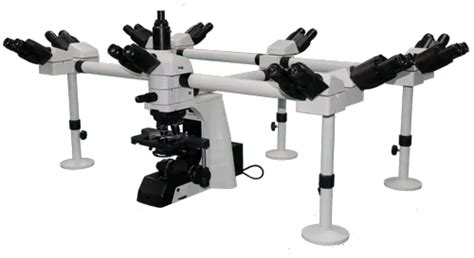 Multihead Microscope - decca head microscope from Mumbai