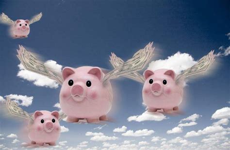 一只猪在天上飞的图片,一只猪的图片,一只猪看着你的图片(第2页)_大山谷图库