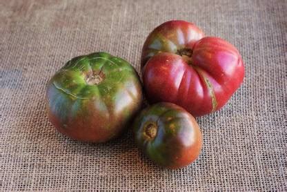 Qualtivate ™ High Germination Rate Cherokee Purple Tomato Seeds Seed ...