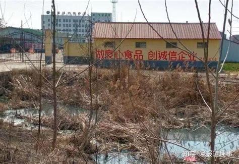 虞城县张集镇无名食品厂有恃无恐，肆意排放污水，污染环境何时了 - 知乎