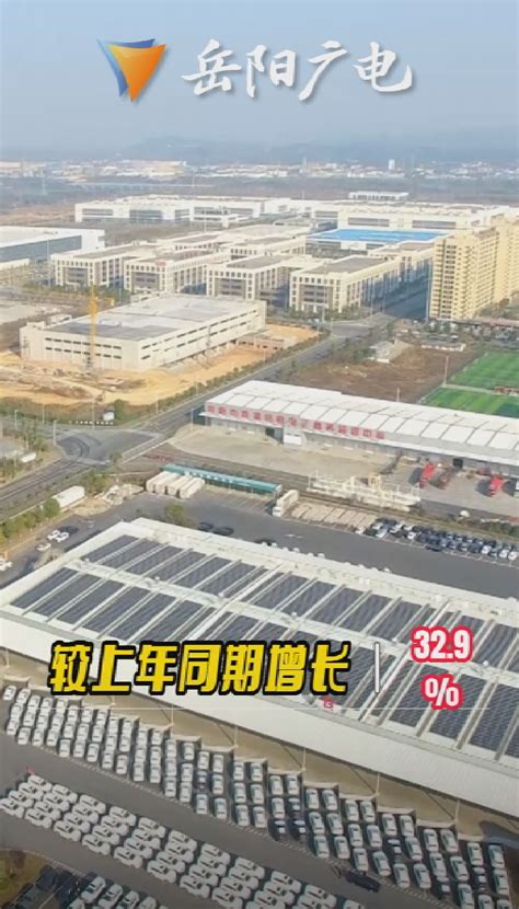 岳阳市外贸增长迅猛|岳阳市|东盟|外贸进出口_新浪新闻