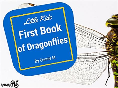 Little Kids First Book of Dragonflies eBook : M., Connie: Amazon.in: Books