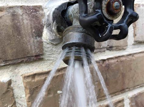 How To Replace An Outdoor Faucet Anti-Siphon Valve at Sara Sugerman blog
