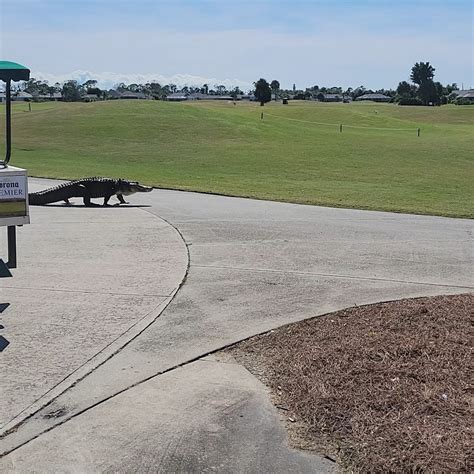 Englewood Moose Lodge #1933 (@englewoodmoose1933) • Instagram photos ...