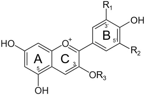 Solanigroside J Structure