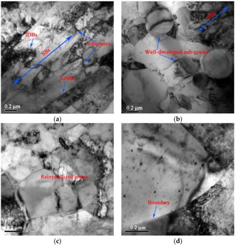 Precipitation, Recrystallization, and Evolution of Annealing Twins in a ...