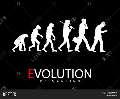 Image result for Evolution Vector