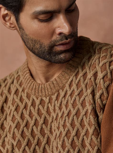 Buy Amber Armour Pullover | Casual Brown Structure Polos & Tees for Men ...