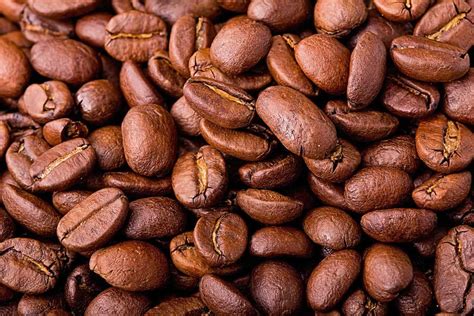 Image result for How to Get Array Length in JavaScript