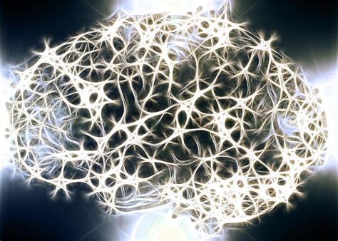 Exploring the Illuminated Mind With Brain Science