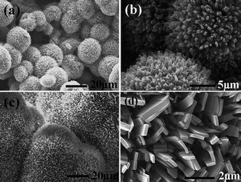 Size, Shape & Morphology Controlled Nanocatalysis - Nanocatalysis ...