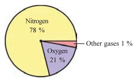 Answer the questions based on the pie graph: (1) What is the percentage ...
