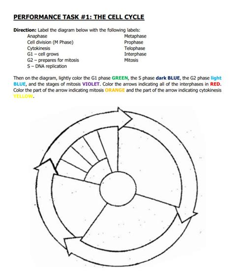 Mitosis Parts Labeled
