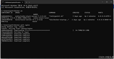 Linux 19C Docker Image 的图像结果