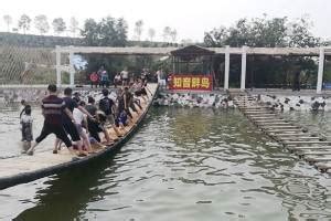 湖北宜昌：三峡库岸生态美-人民图片网
