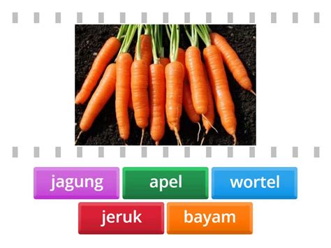 Image result for How to Program Lists through Python