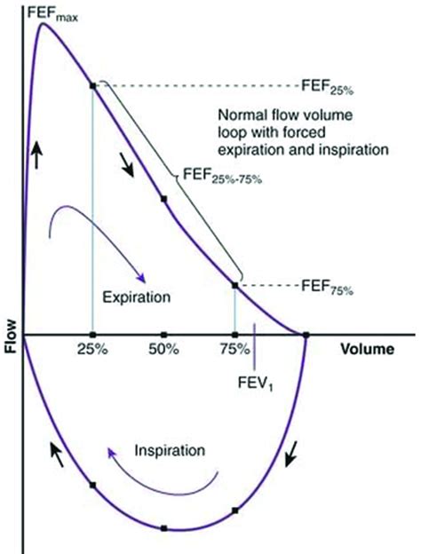 Maximum voluntary ventilation normal values. Maximal Voluntary ...